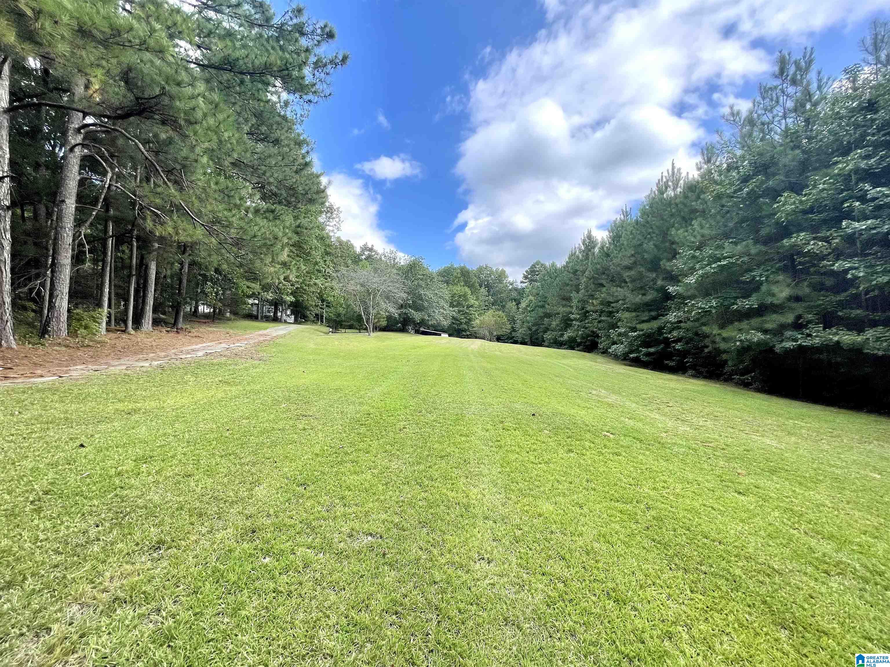 1053 House Road Remlap, AL 35133 - Photo 4 of 24