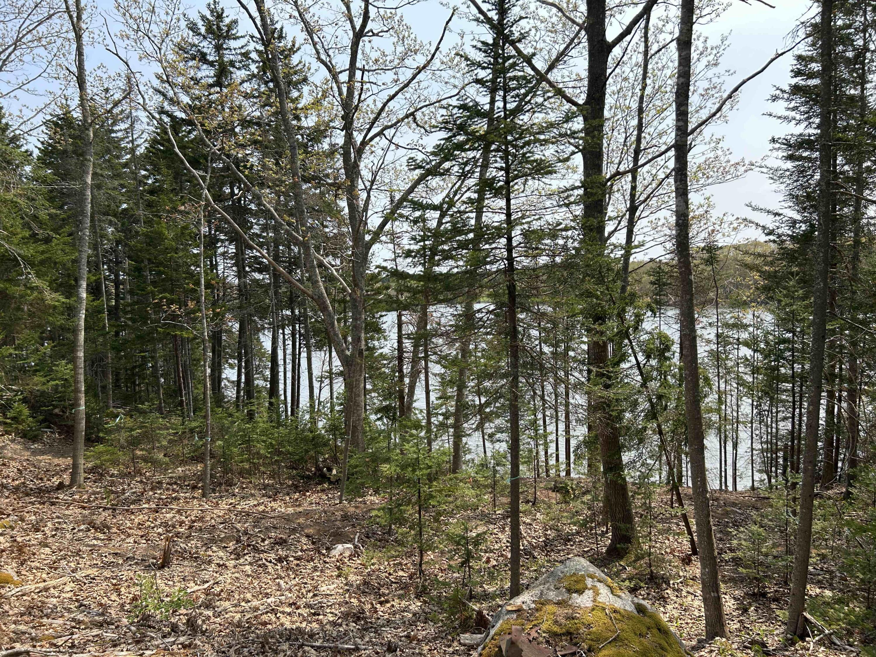 Lot 1 Frank's Flat Road Sedgwick, ME 04676 - Photo 3 of 16 waterfront