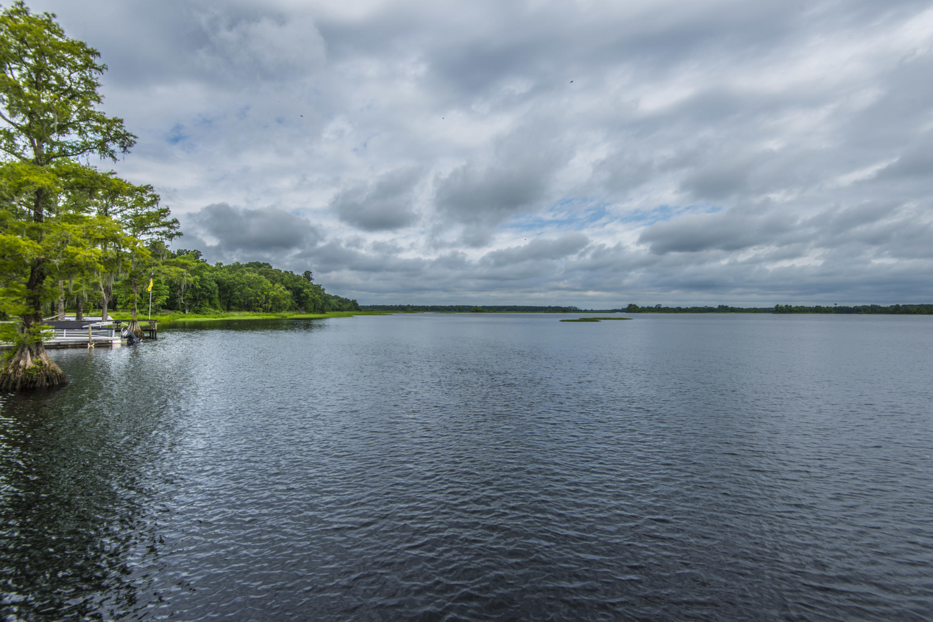 2008 Rock Fish Road Moncks Corner, SC 29461 - Photo 6 of 35 _DSC5460