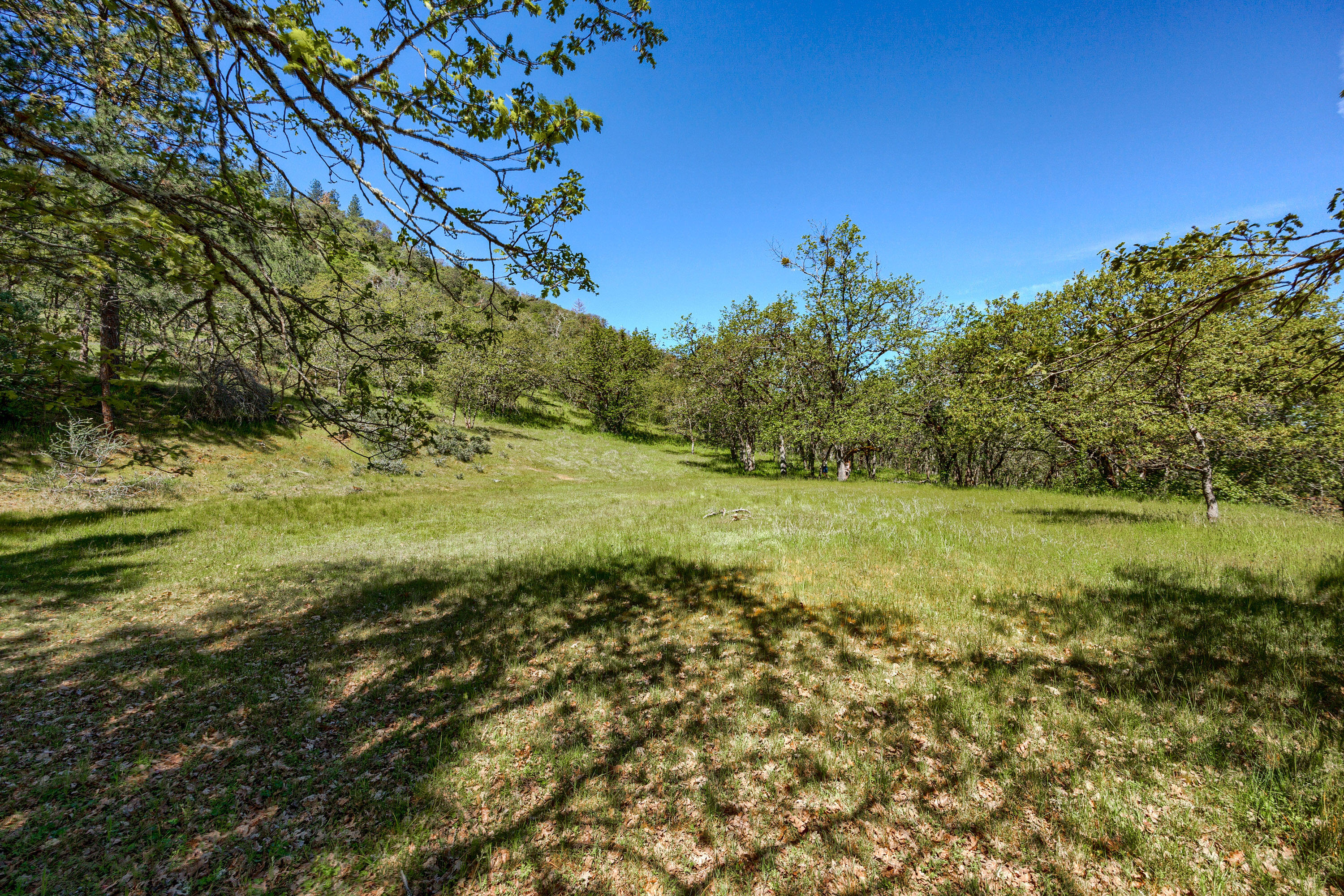 3775 Old Military Road Central Point, OR 97502 - Photo 58 of 58 49-print-ApxOM (49)