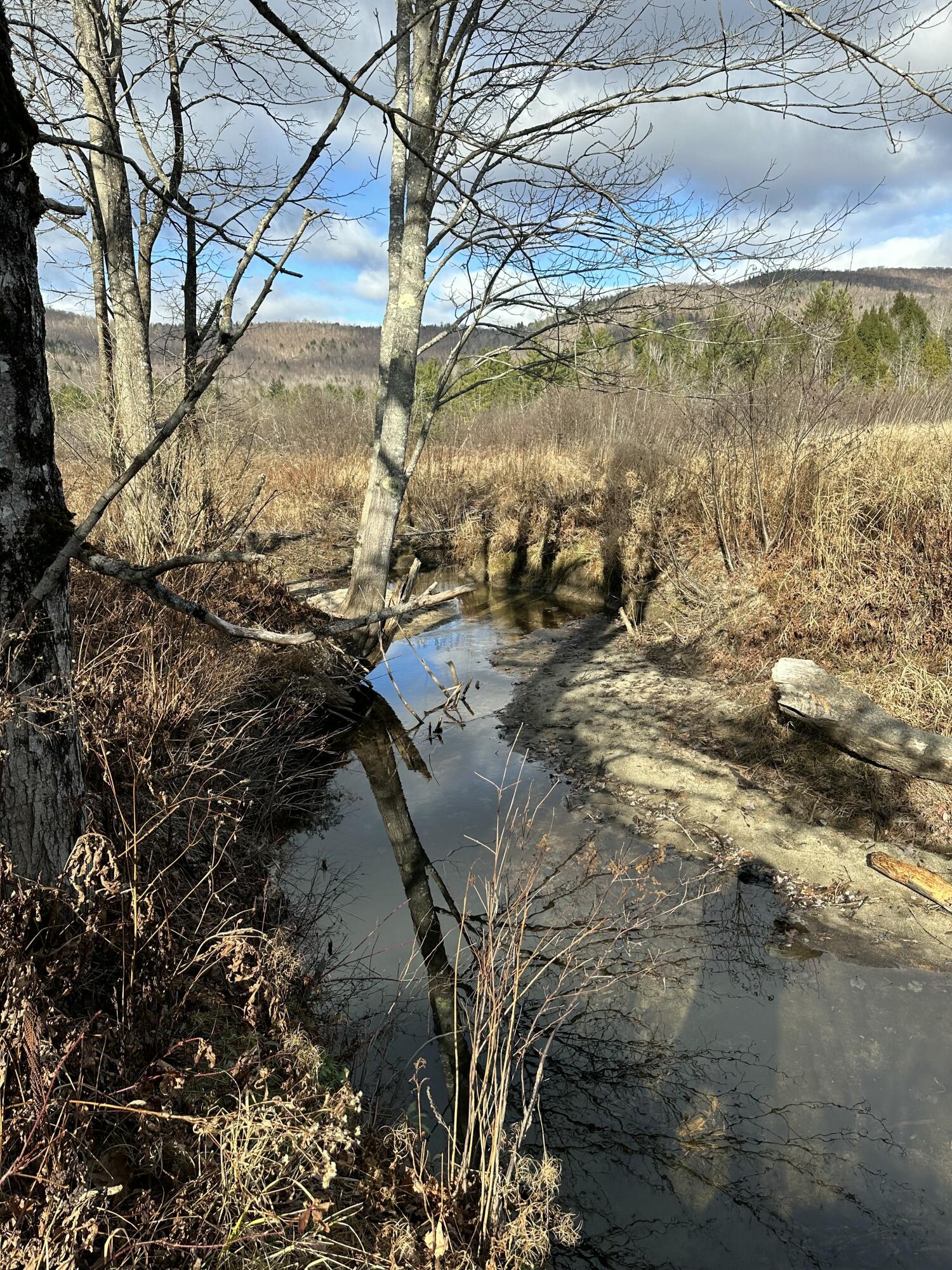 89 Holman Road Dixfield, ME 04224 - Photo 18 of 87 Brook