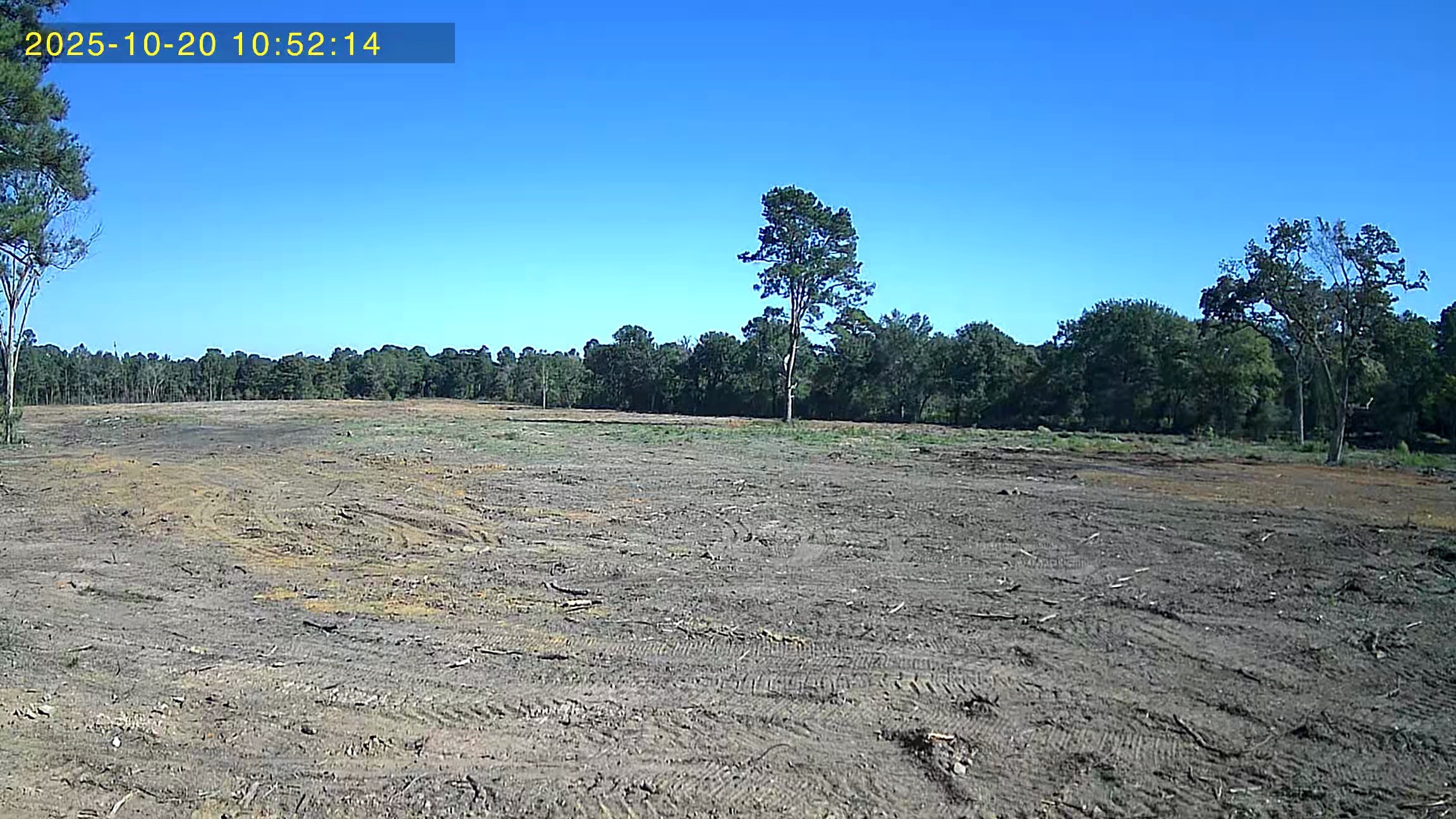 29424 Hegar Road Hockley, TX 77447 - Photo 2 of 3 a view of a field with trees in the background