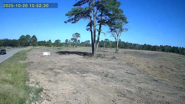 a view of outdoor space with trees all around