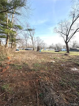 $20,000 | 1336 2nd Street, Cottage Hills, IL 62018