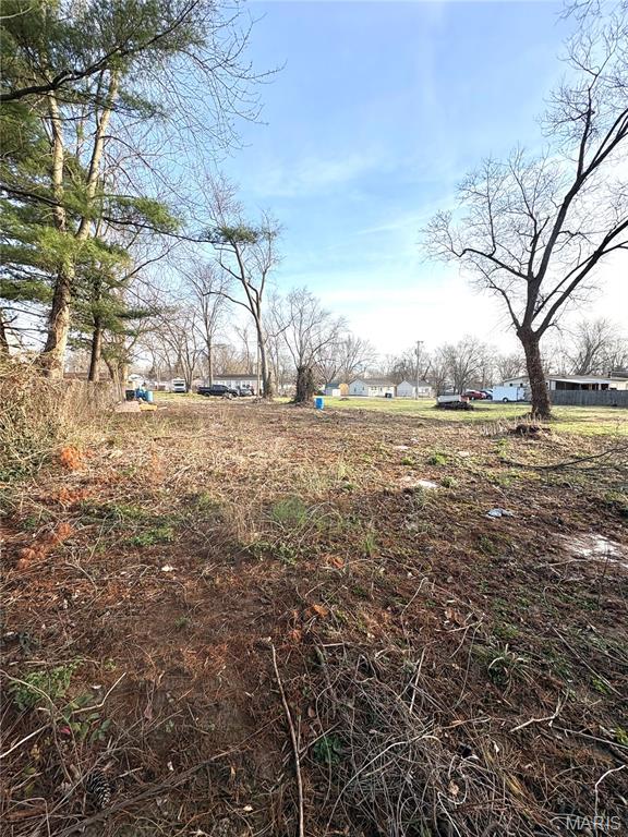 1336 2nd Street Cottage Hills, IL 62018 - Photo 3 of 4