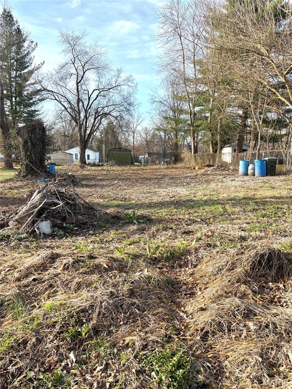 1336 2nd Street Cottage Hills, IL 62018 - Photo 4 of 4