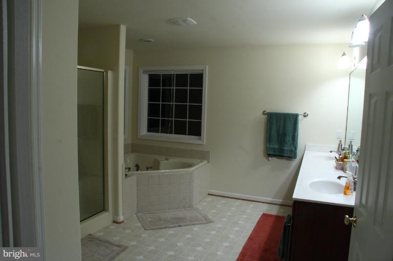 470 Cropp Road Fredericksburg, VA 22406 - Photo 16 of 21 Bath (Master)