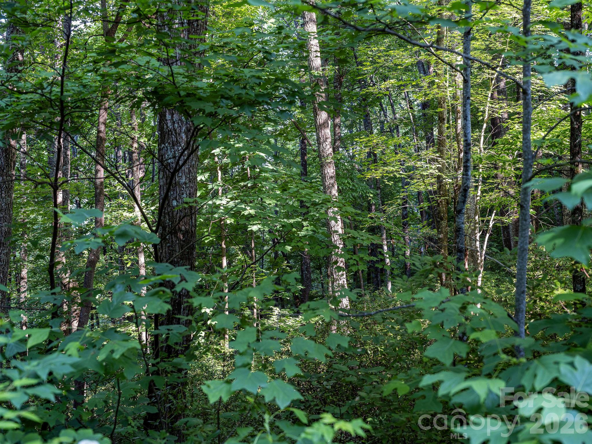 8 Carls Cove Road Hendersonville, NC 28792 - Photo 9 of 25