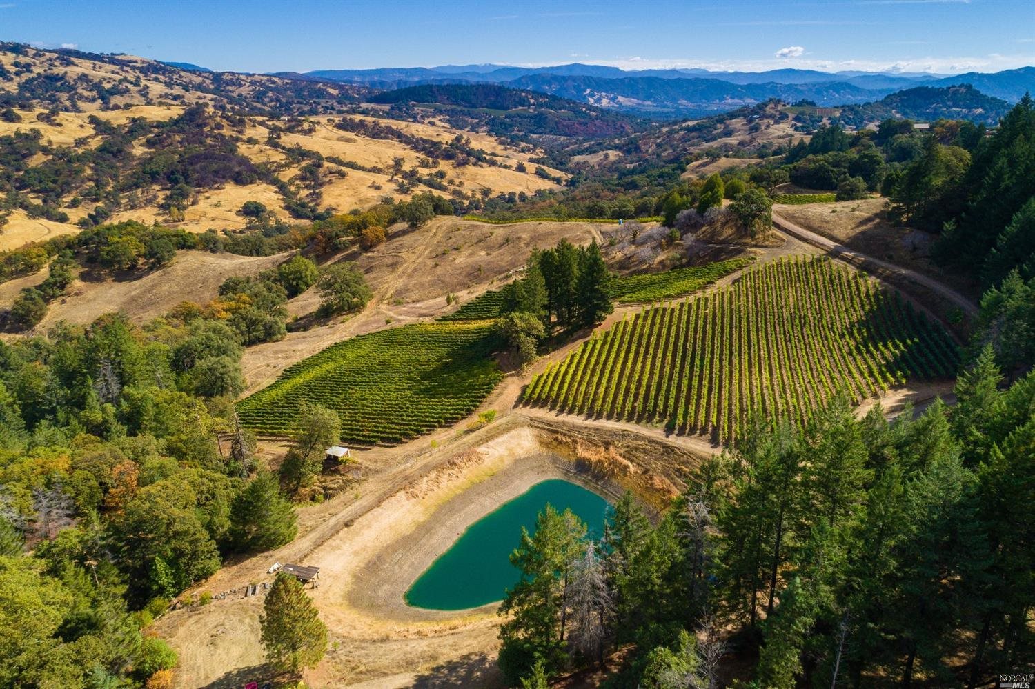 3241 Reeves Canyon Road Redwood Valley, CA 95470 - Photo 1 of 1 Gallery Image 1