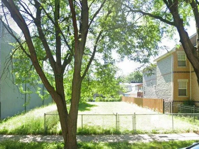 a view of backyard with tree