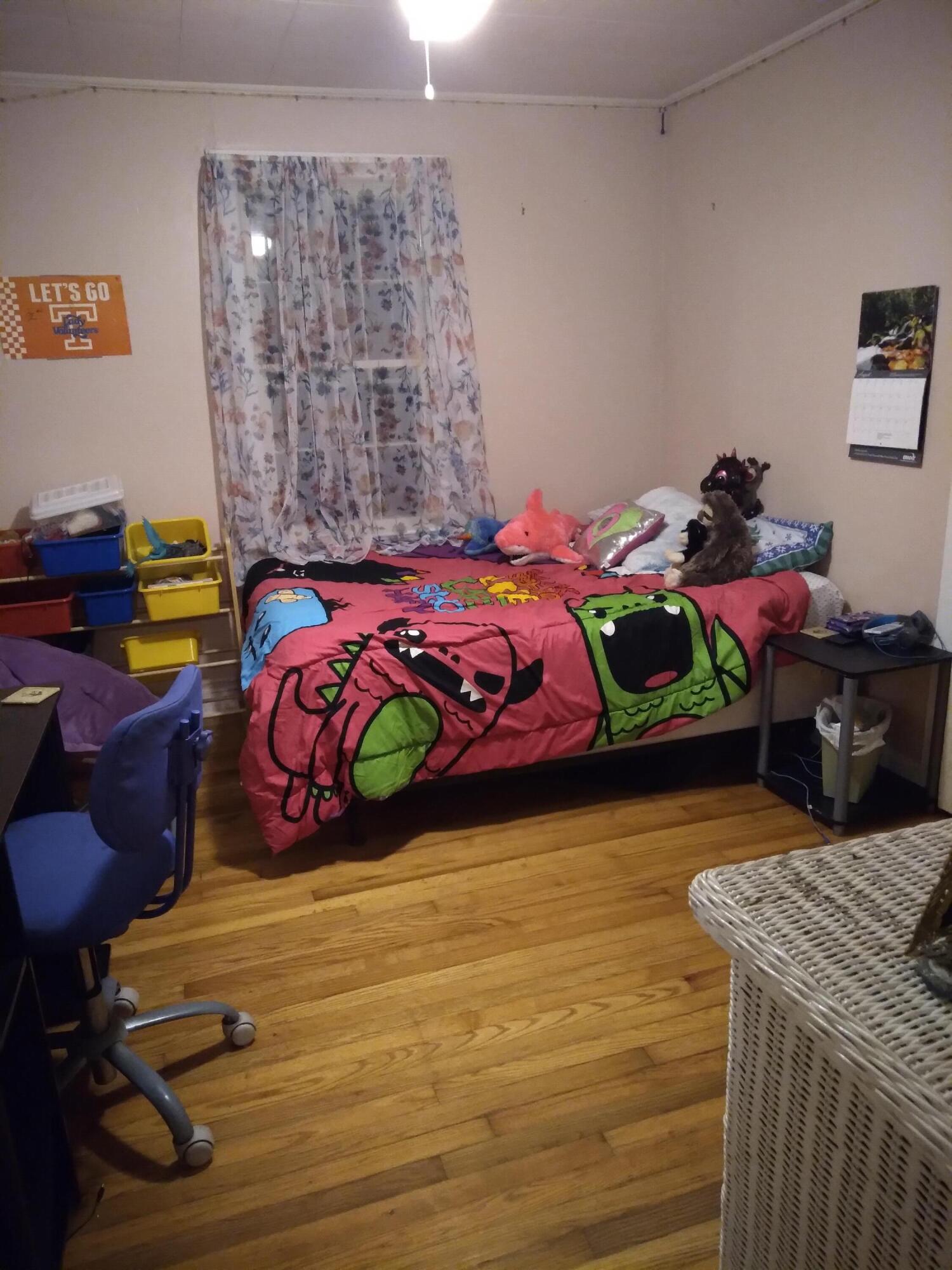 805 Chestnut Avenue Erwin, TN 37650 - Photo 19 of 24 20210915_200633