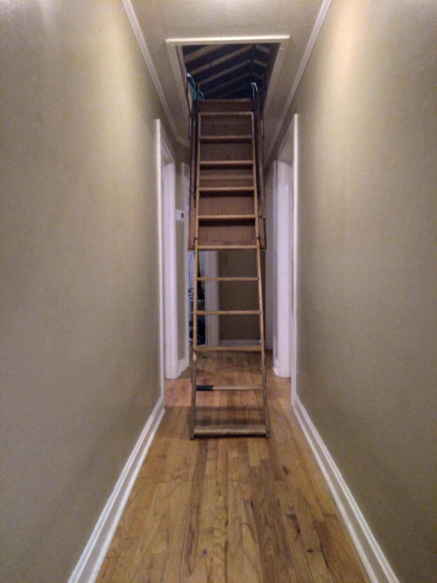 805 Chestnut Avenue Erwin, TN 37650 - Photo 23 of 24 20210915_201100