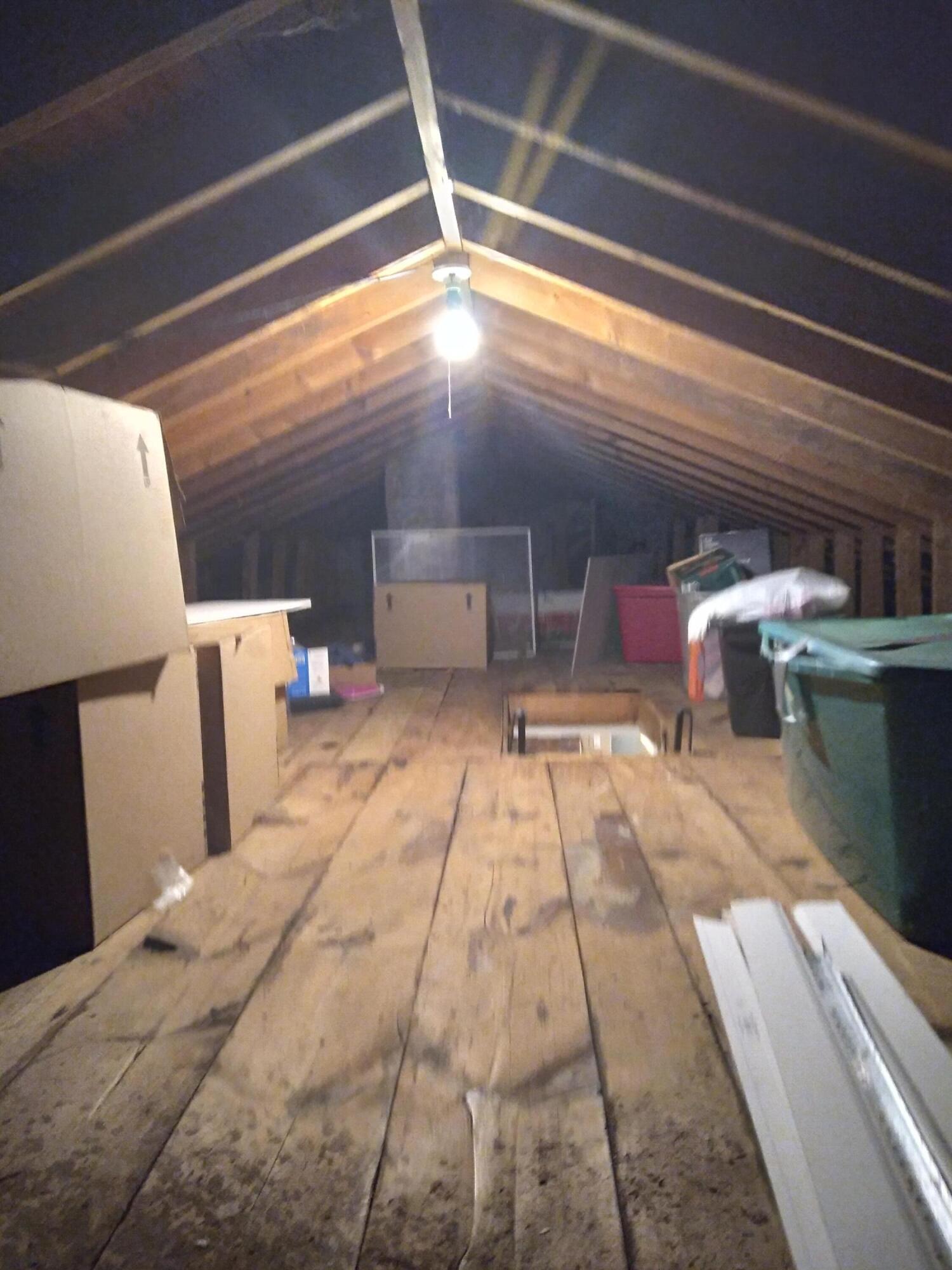 805 Chestnut Avenue Erwin, TN 37650 - Photo 24 of 24 20210915_200852