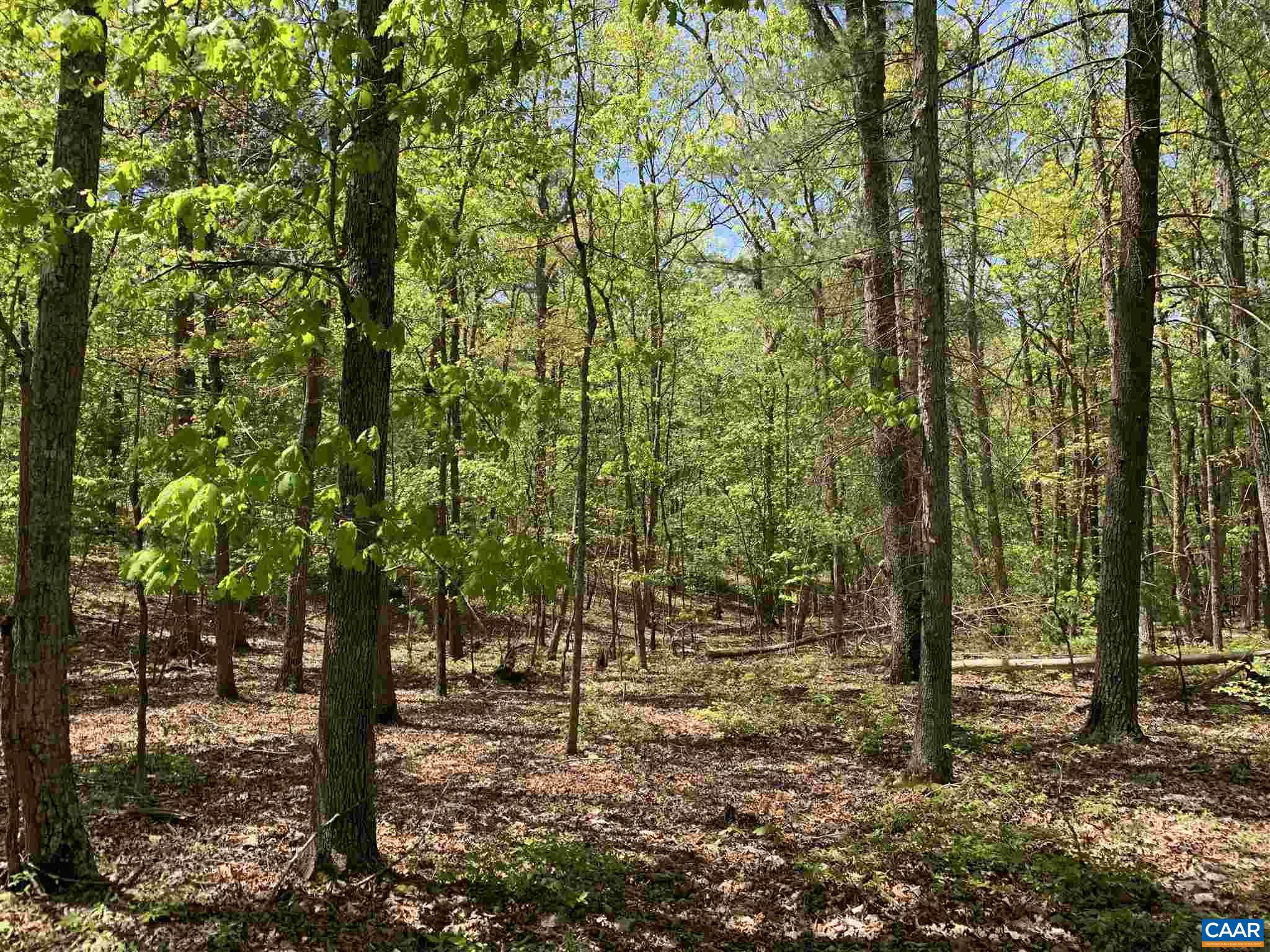 0 Campbell Road Keswick, VA 22947 - Photo 1 of 2 a view of outdoor space and trees