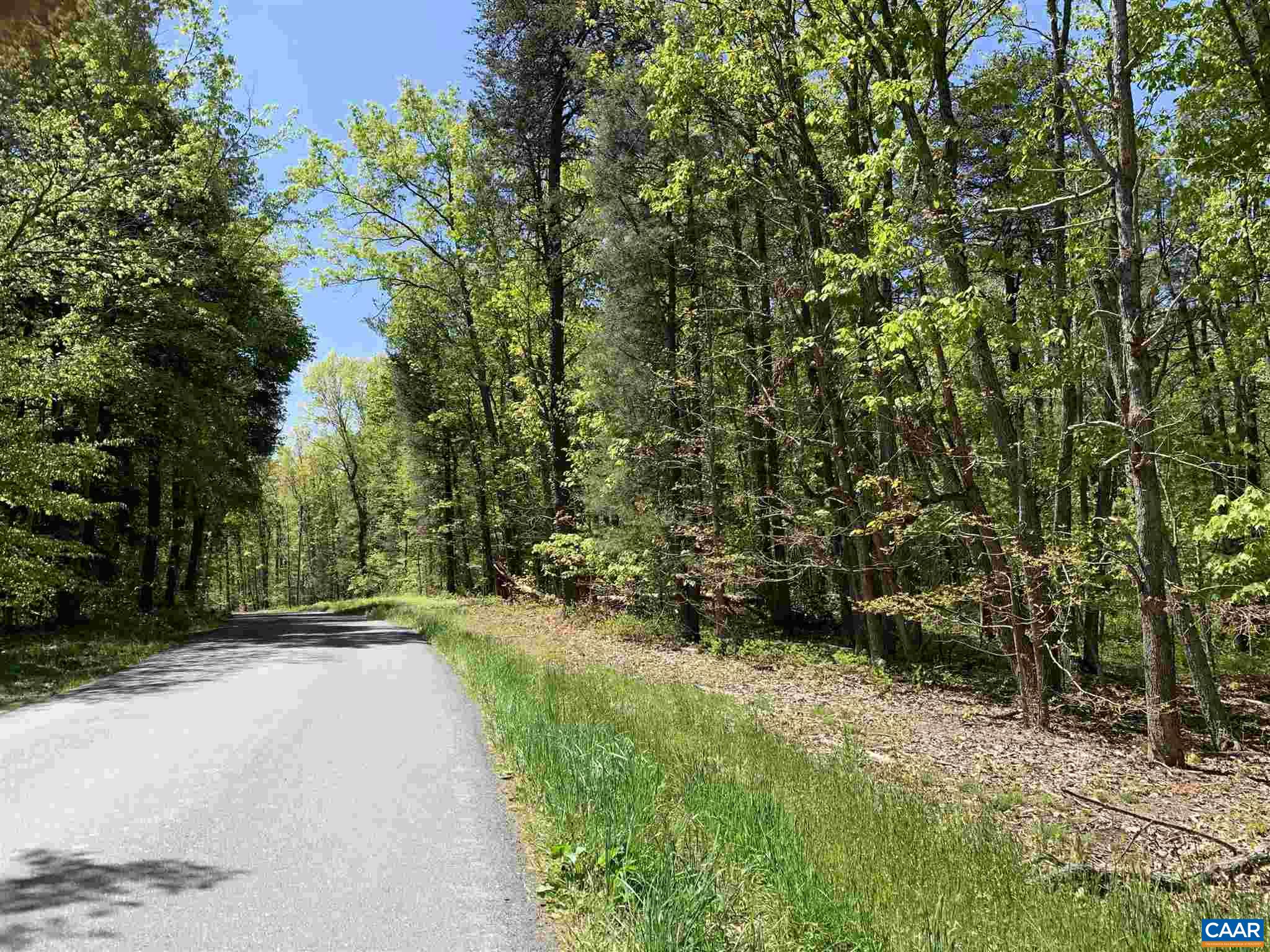 0 Campbell Road Keswick, VA 22947 - Photo 2 of 2 a view of a pathway both side of yard