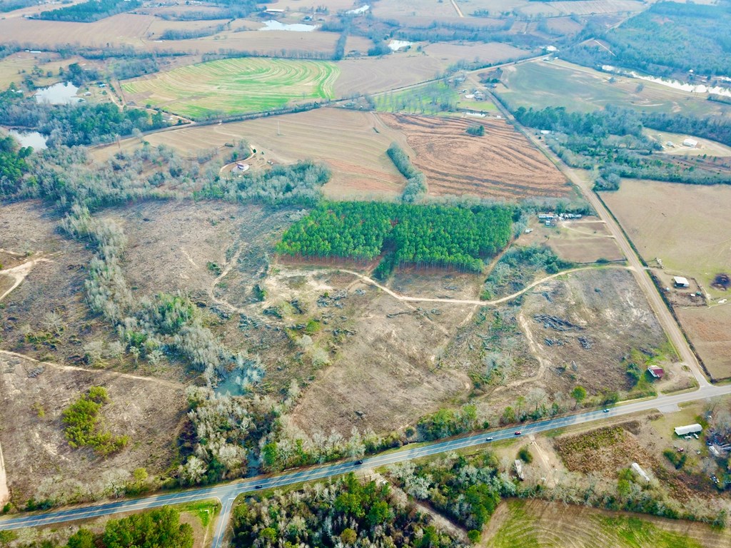 20-acres Hudson Road Columbia, AL 36319 - Photo 21 of 40