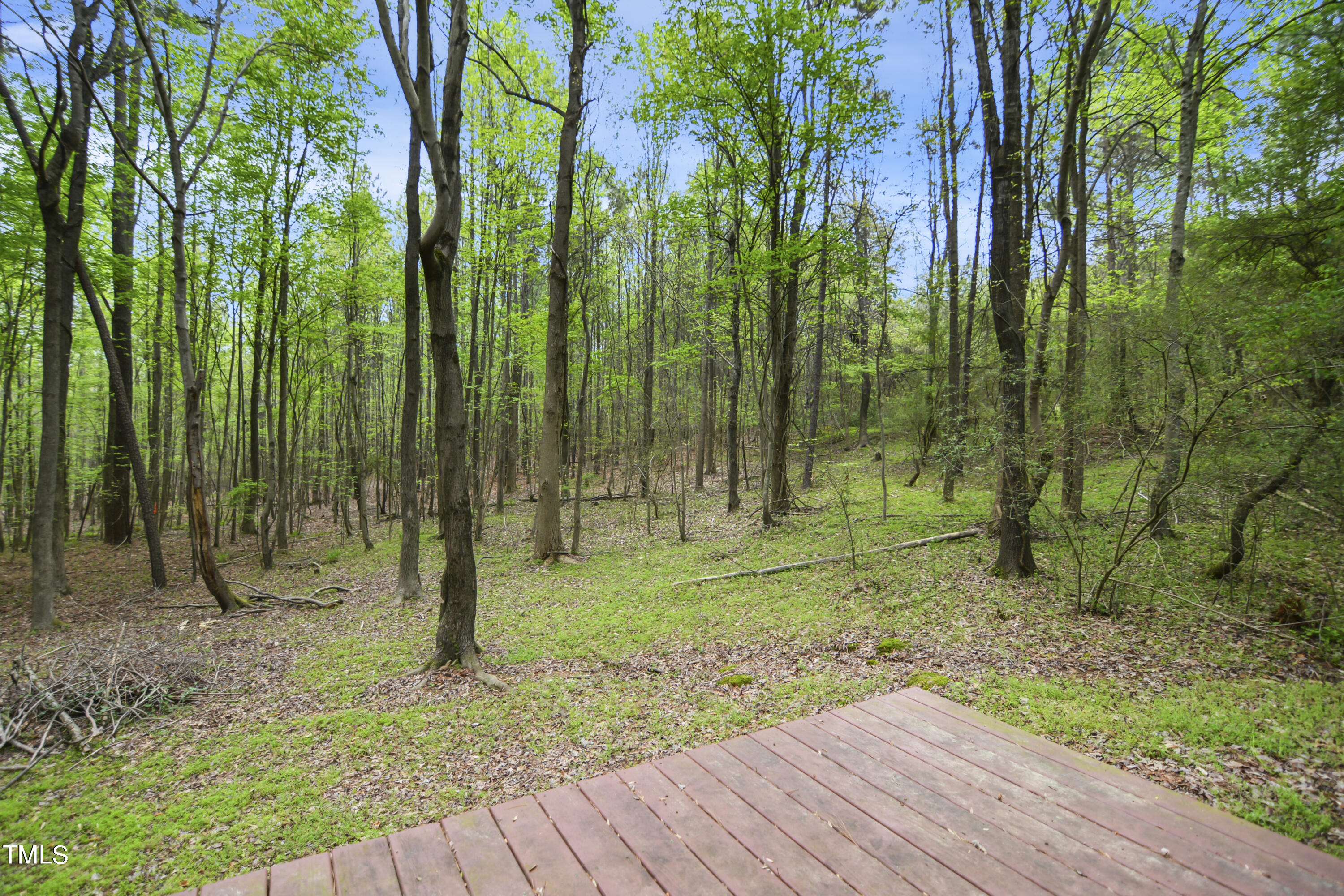 13105 Powell Road Wake Forest, NC 27587 - Photo 31 of 34 30
