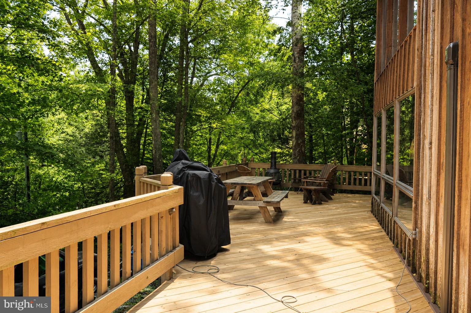 2153 Rock Lodge Road McHenry, MD 21541 - Photo 9 of 80 Serene deck nestled in lush greenery.