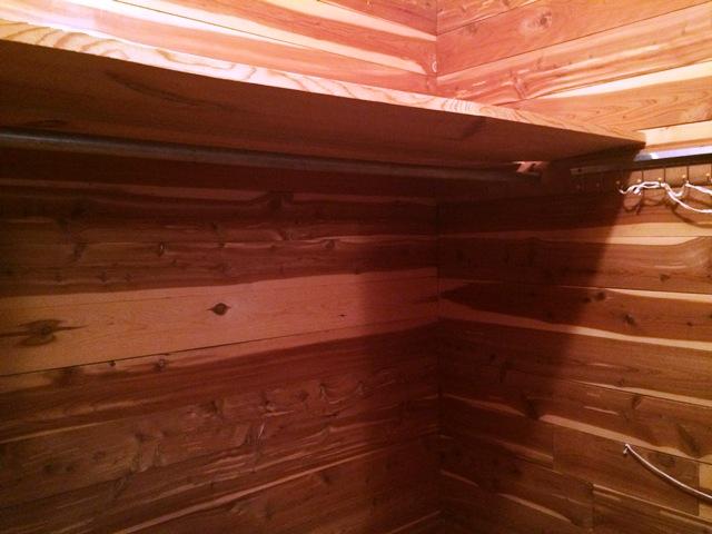 3806 Bill Jones Road Apison, TN 37302 - Photo 13 of 32 MASTER CLOSET