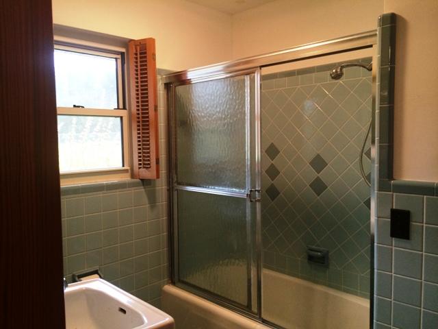 3806 Bill Jones Road Apison, TN 37302 - Photo 14 of 32 MASTER BATH