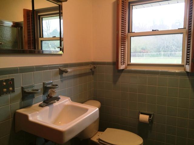 3806 Bill Jones Road Apison, TN 37302 - Photo 15 of 32 MASTER BATH