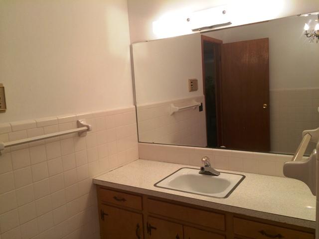 3806 Bill Jones Road Apison, TN 37302 - Photo 20 of 32 HALL BATH