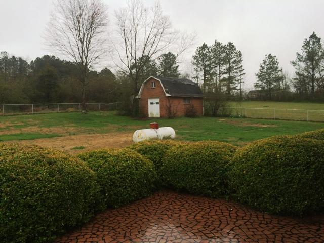 3806 Bill Jones Road Apison, TN 37302 - Photo 29 of 32 BACKYARD