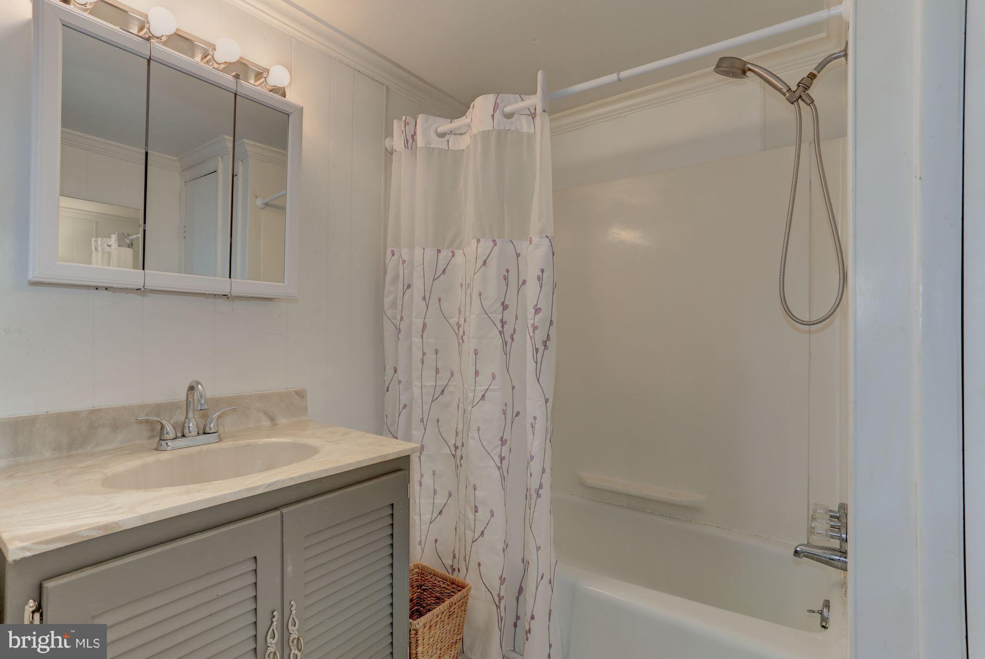 103 Club House Road Front Royal, VA 22630 - Photo 16 of 30 a bathroom with a shower curtain and a sink