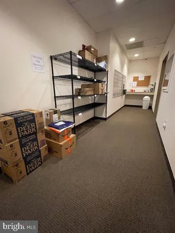 a living room with a bed furniture and a potted plant