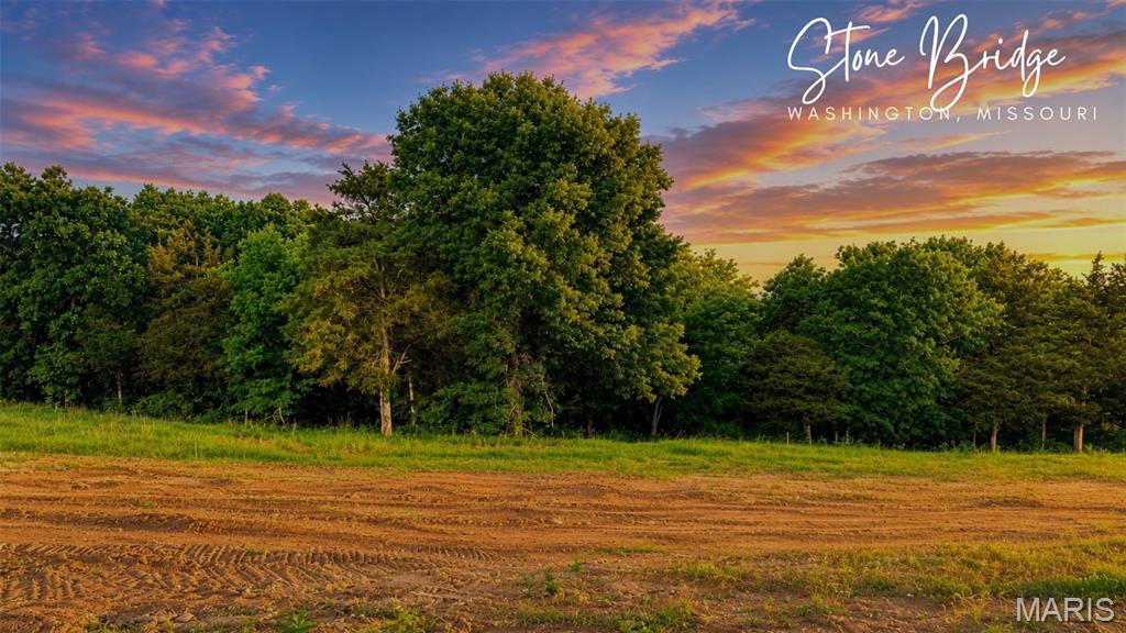 217 Fiddlers Close Road, Unit 17 STB Washington, MO 63090 - Photo 1 of 5