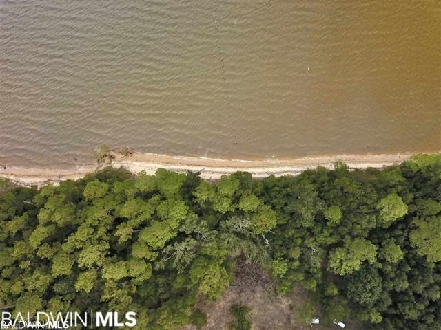 10346 County Road 99 Lillian, AL 36549 - Photo 4 of 11