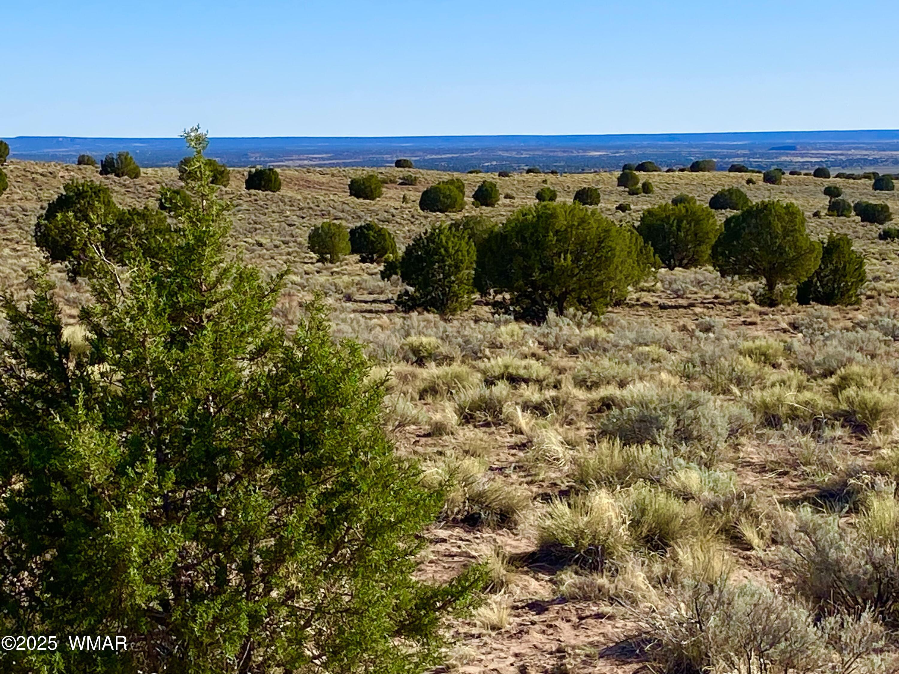 River River Meadows Ranch Concho, AZ 85924 - Photo 1 of 22