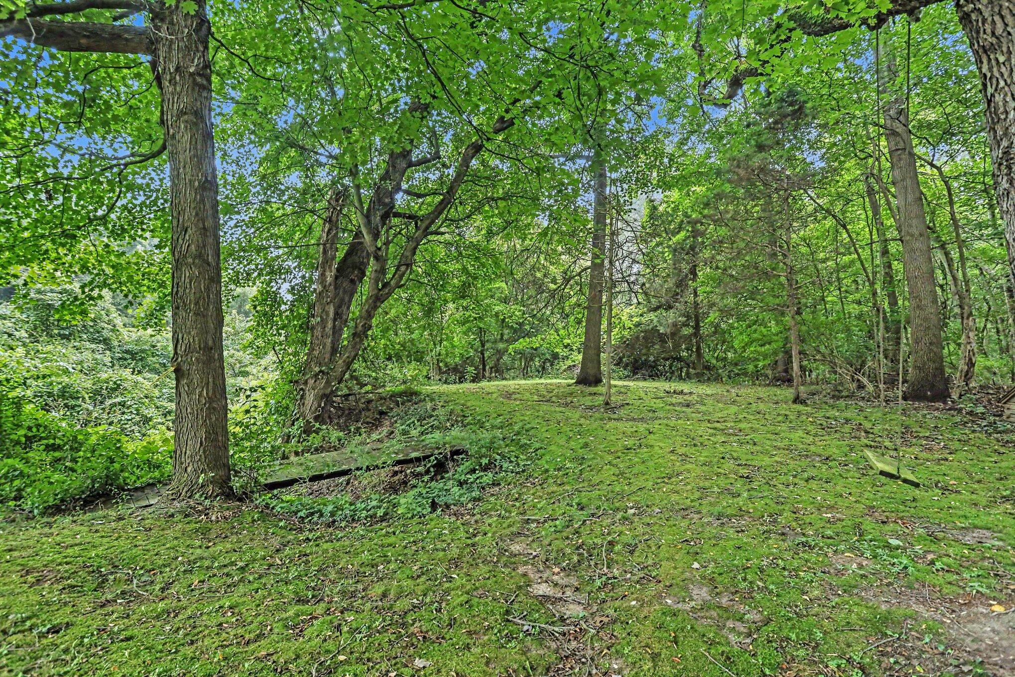 1176 Hamilton Road Battle Creek, MI 49017 - Photo 29 of 35 back yard to 10 acres!