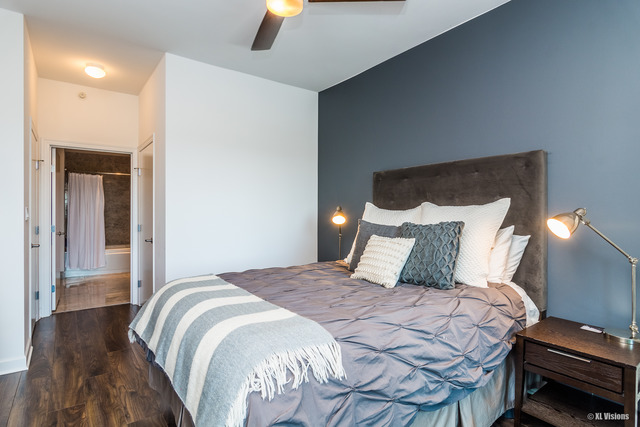 1201 South Prairie Avenue, Unit 1304 Chicago, IL 60605 - Photo 13 of 25
