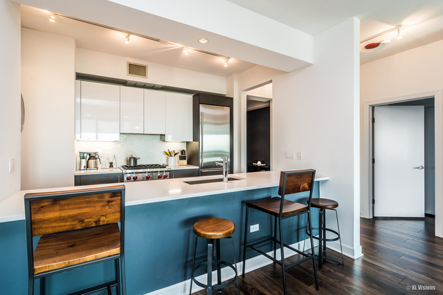 1201 South Prairie Avenue, Unit 1304 Chicago, IL 60605 - Photo 24 of 25