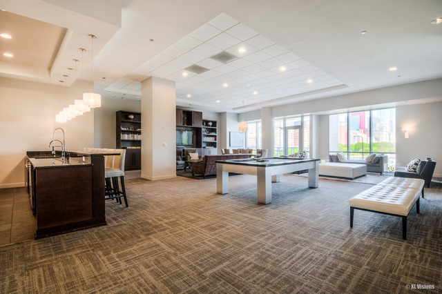 1201 South Prairie Avenue, Unit 1304 Chicago, IL 60605 - Photo 5 of 25