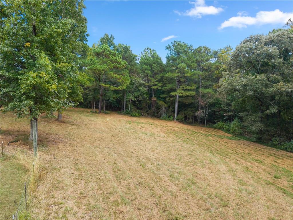 780 Blacks Mill Road Dawsonville, GA 30534 - Photo 40 of 50 Gallery Image 40