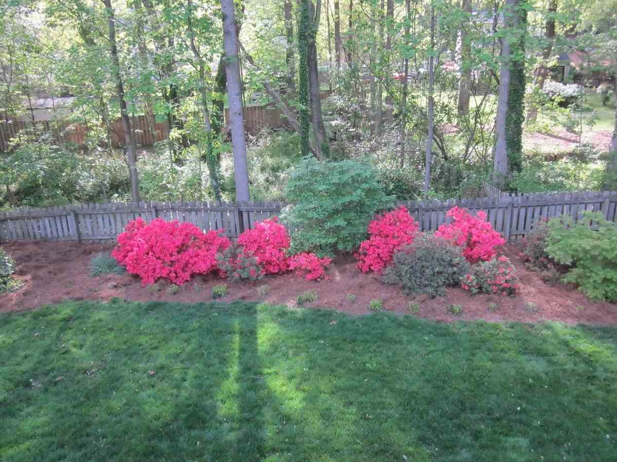 7413 Chippenham Court Raleigh, NC 27613 - Photo 23 of 24 Photo 23