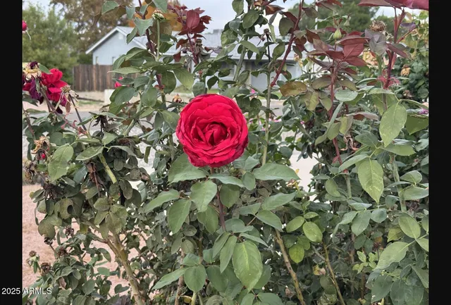 an empty room with wooden floor and chandelier