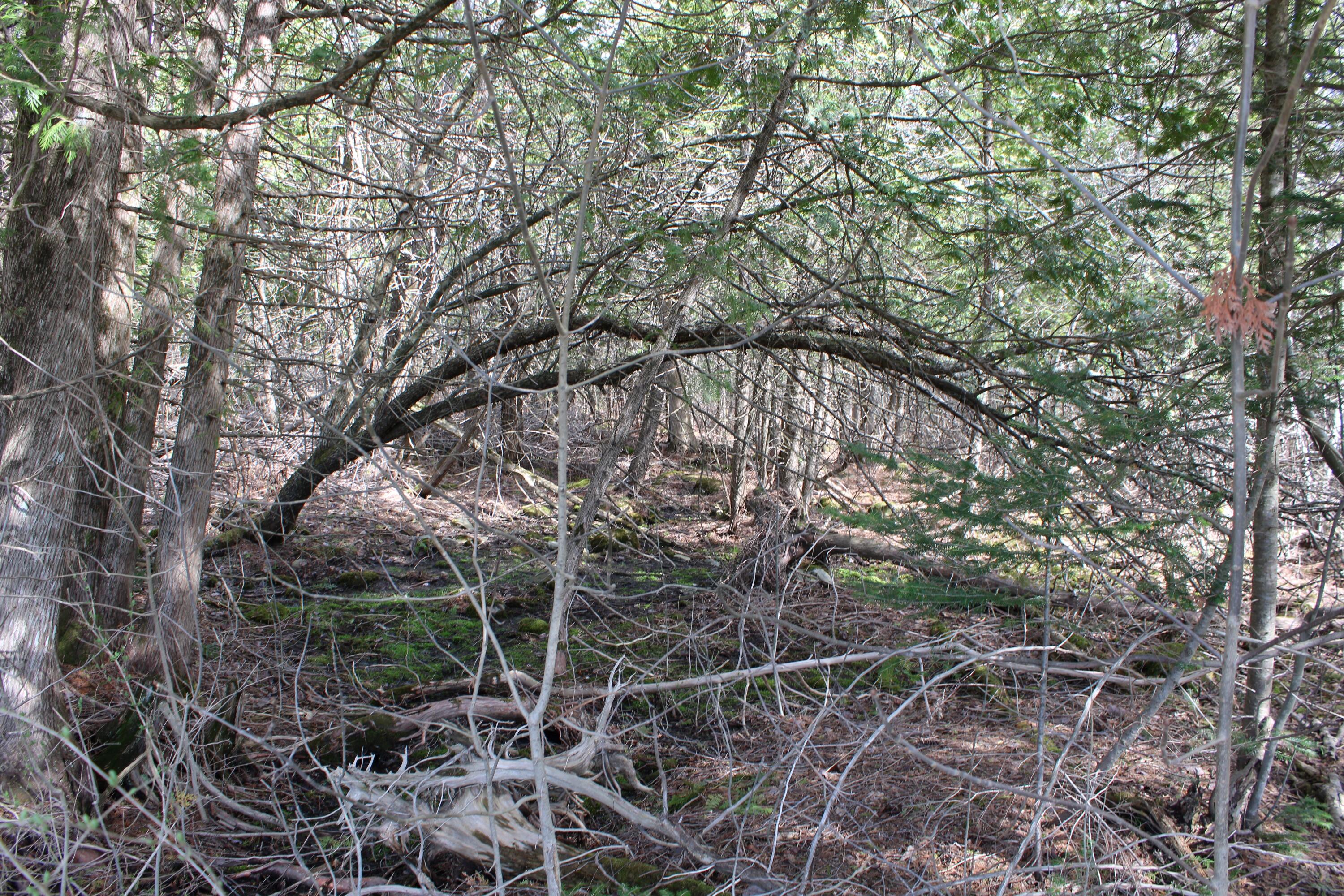M1-l271 West Ripley Road Ripley, ME 04930 - Photo 5 of 6 3