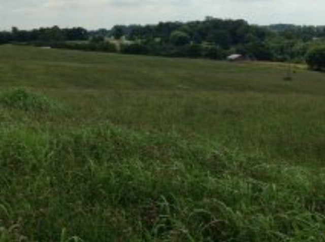 130 Stovall Road Glasgow, KY 42141 - Photo 15 of 18 Gallery Image 15