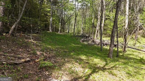 $170,000 | 0 Holly Road, Murphy, NC 28906