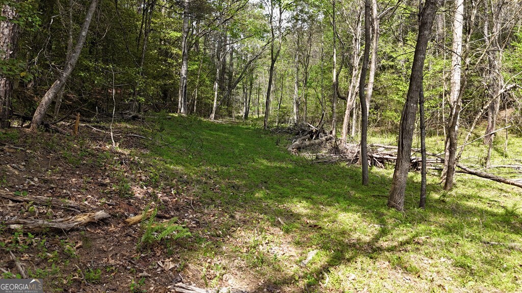 0 Holly Road Murphy, NC 28906 - Photo 1 of 1