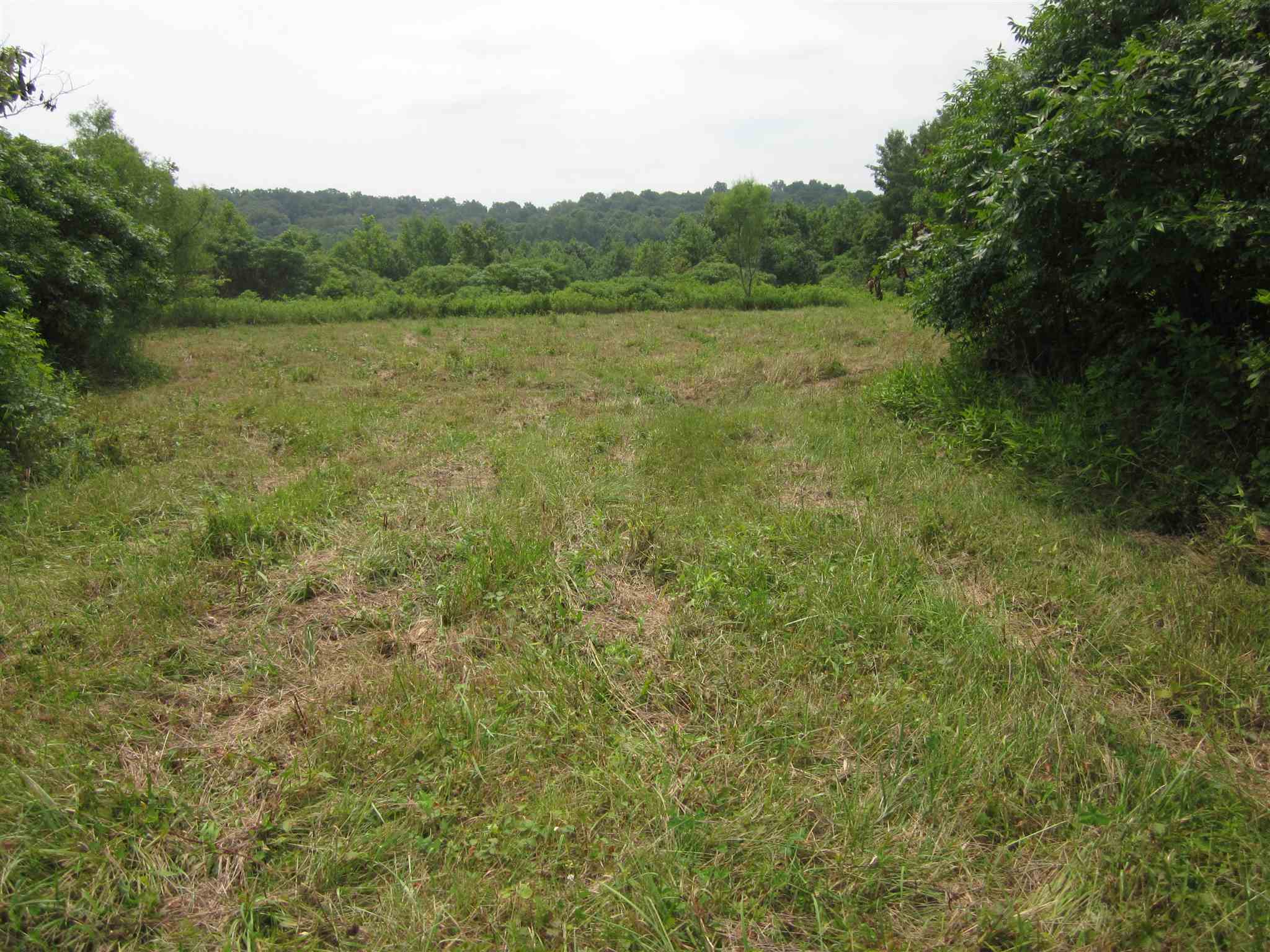 154.79-acres Straight Line Road Freedom, IN 47431 - Photo 11 of 36 Gallery Image 11