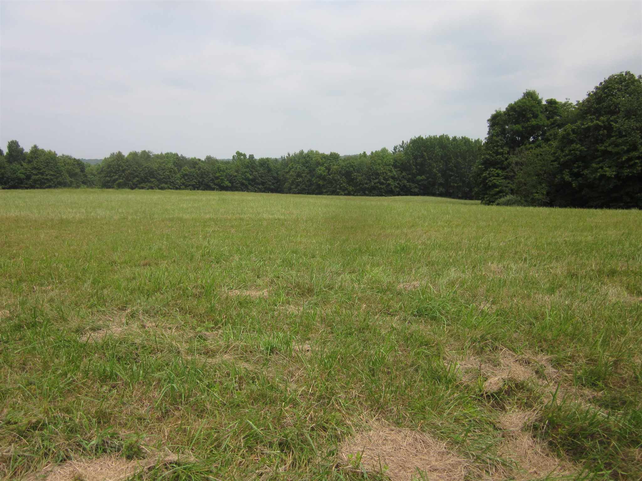 154.79-acres Straight Line Road Freedom, IN 47431 - Photo 12 of 36 Gallery Image 12