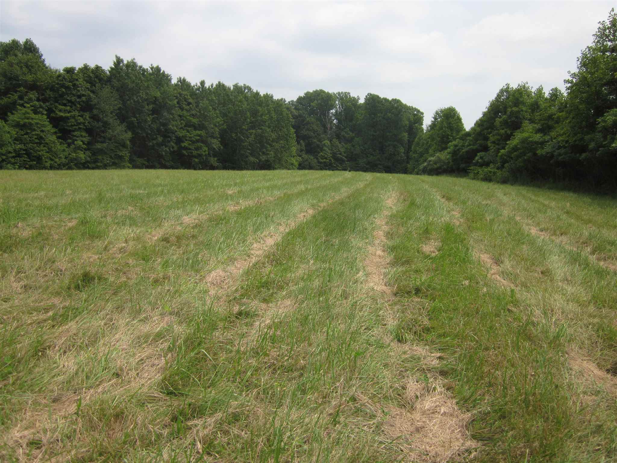 154.79-acres Straight Line Road Freedom, IN 47431 - Photo 13 of 36 Gallery Image 13