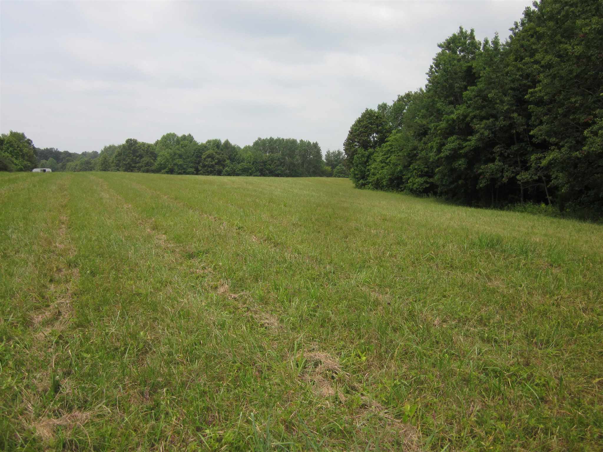 154.79-acres Straight Line Road Freedom, IN 47431 - Photo 14 of 36 Gallery Image 14