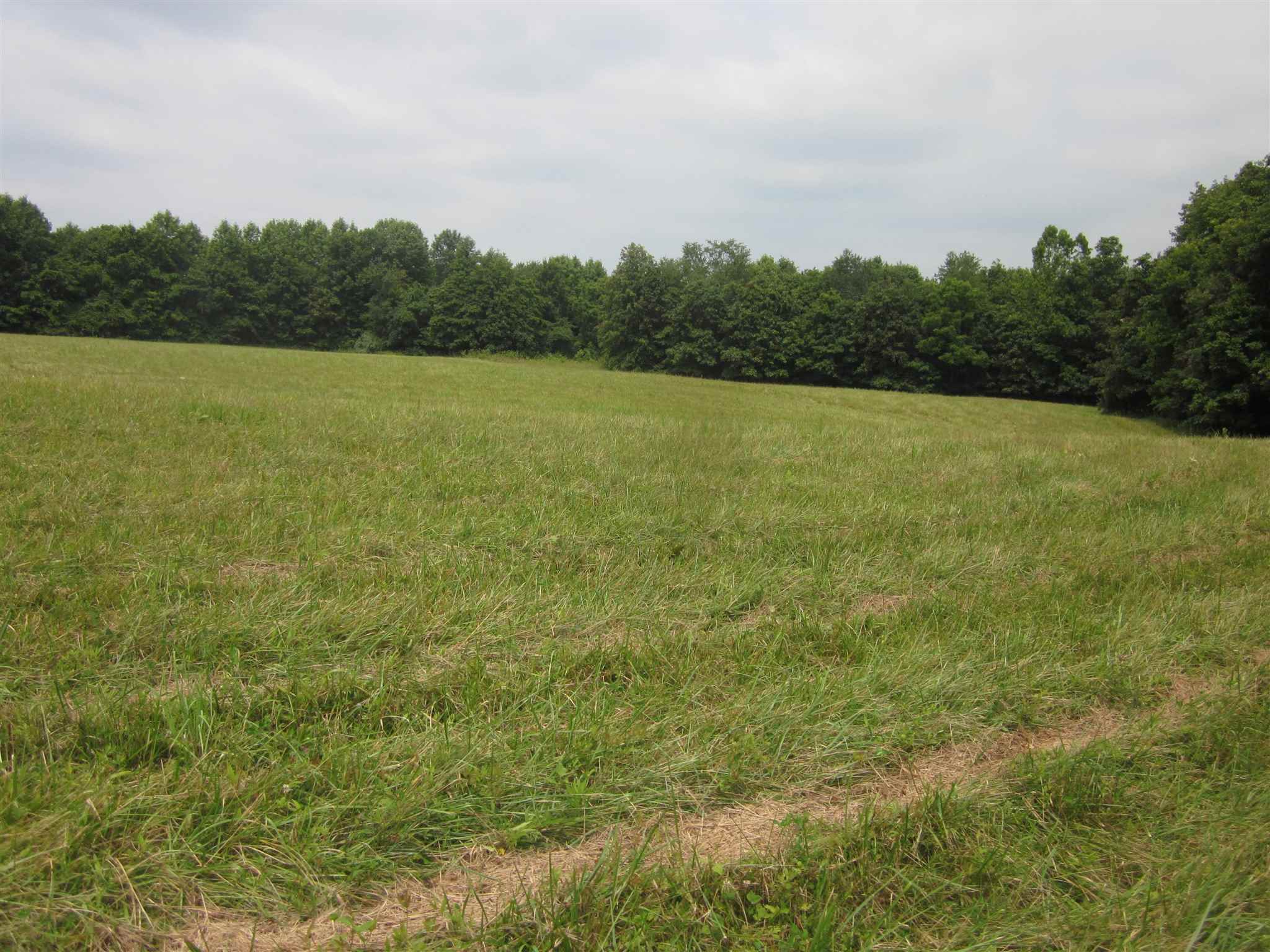 154.79-acres Straight Line Road Freedom, IN 47431 - Photo 15 of 36 Gallery Image 15