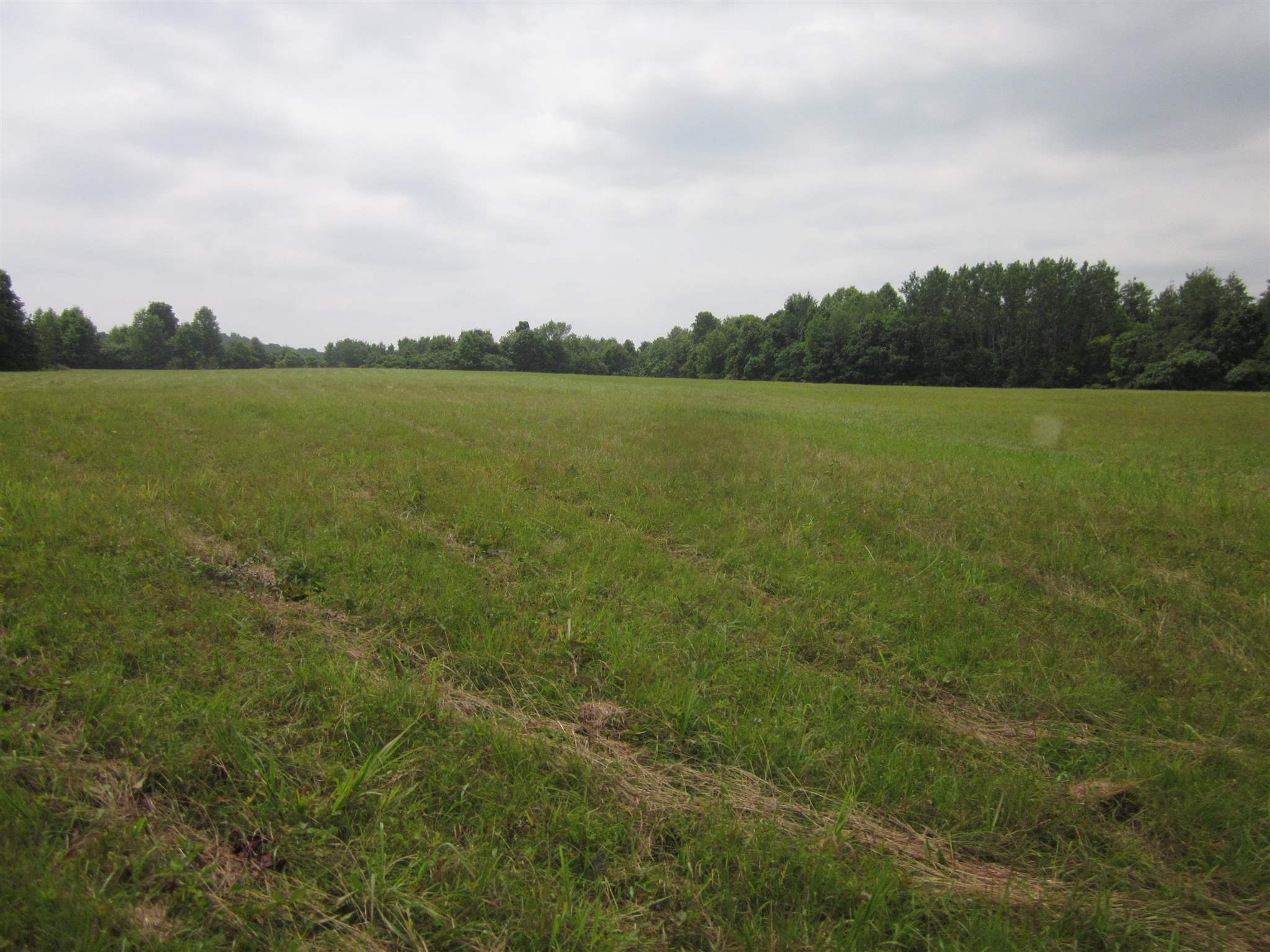 154.79-acres Straight Line Road Freedom, IN 47431 - Photo 16 of 36 Gallery Image 16