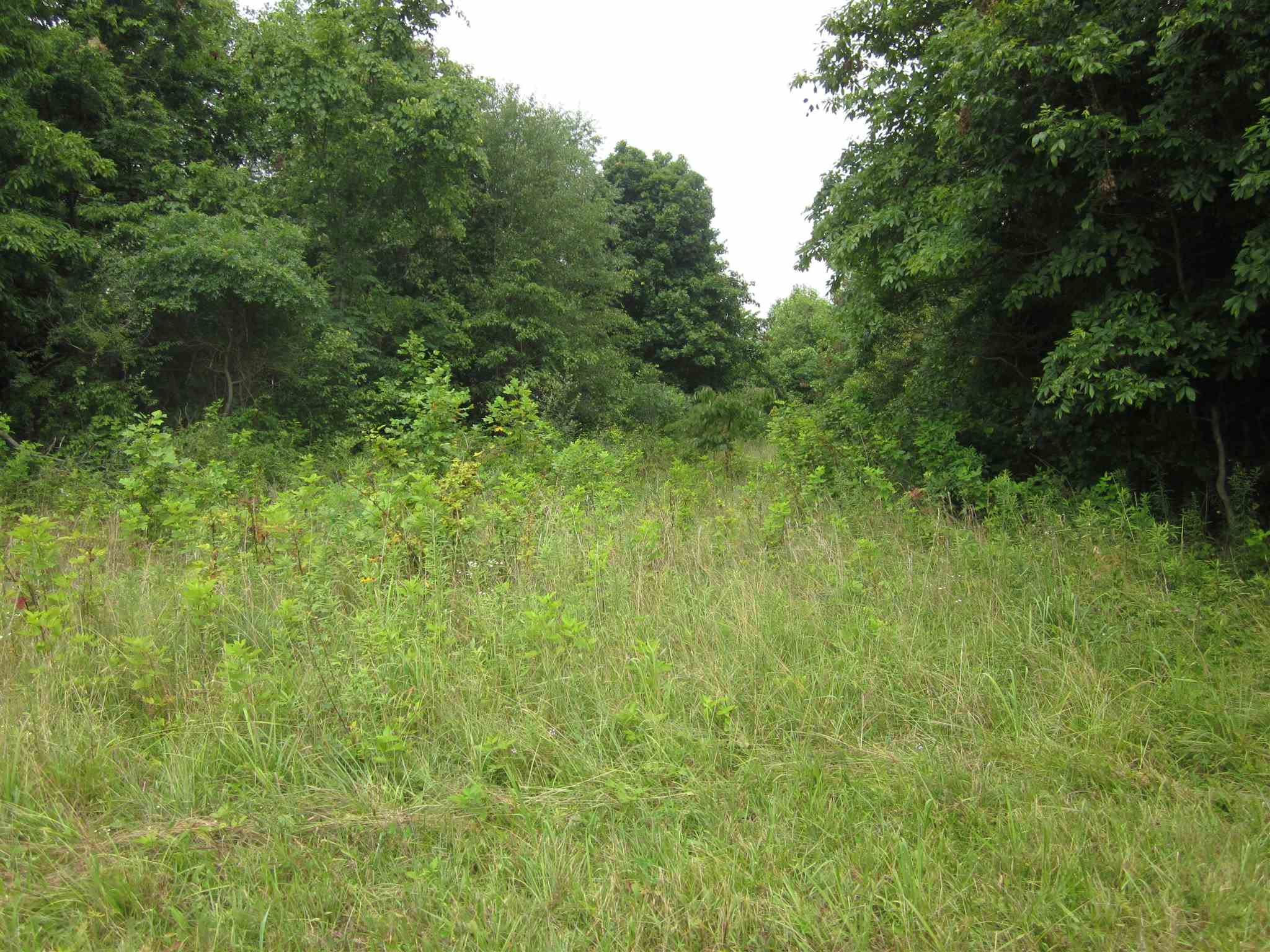 154.79-acres Straight Line Road Freedom, IN 47431 - Photo 17 of 36 Gallery Image 17
